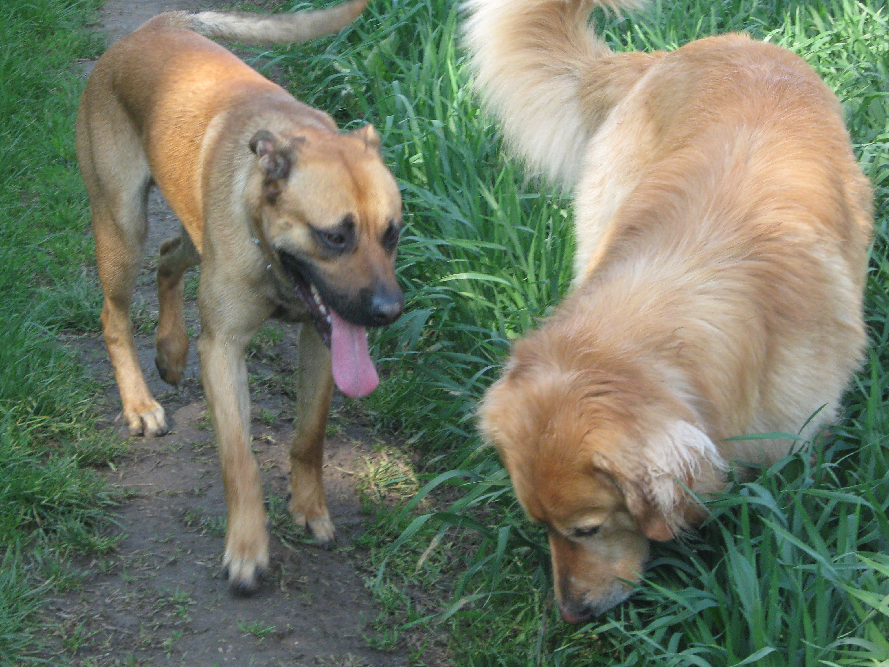 9.5.2010 017.JPG