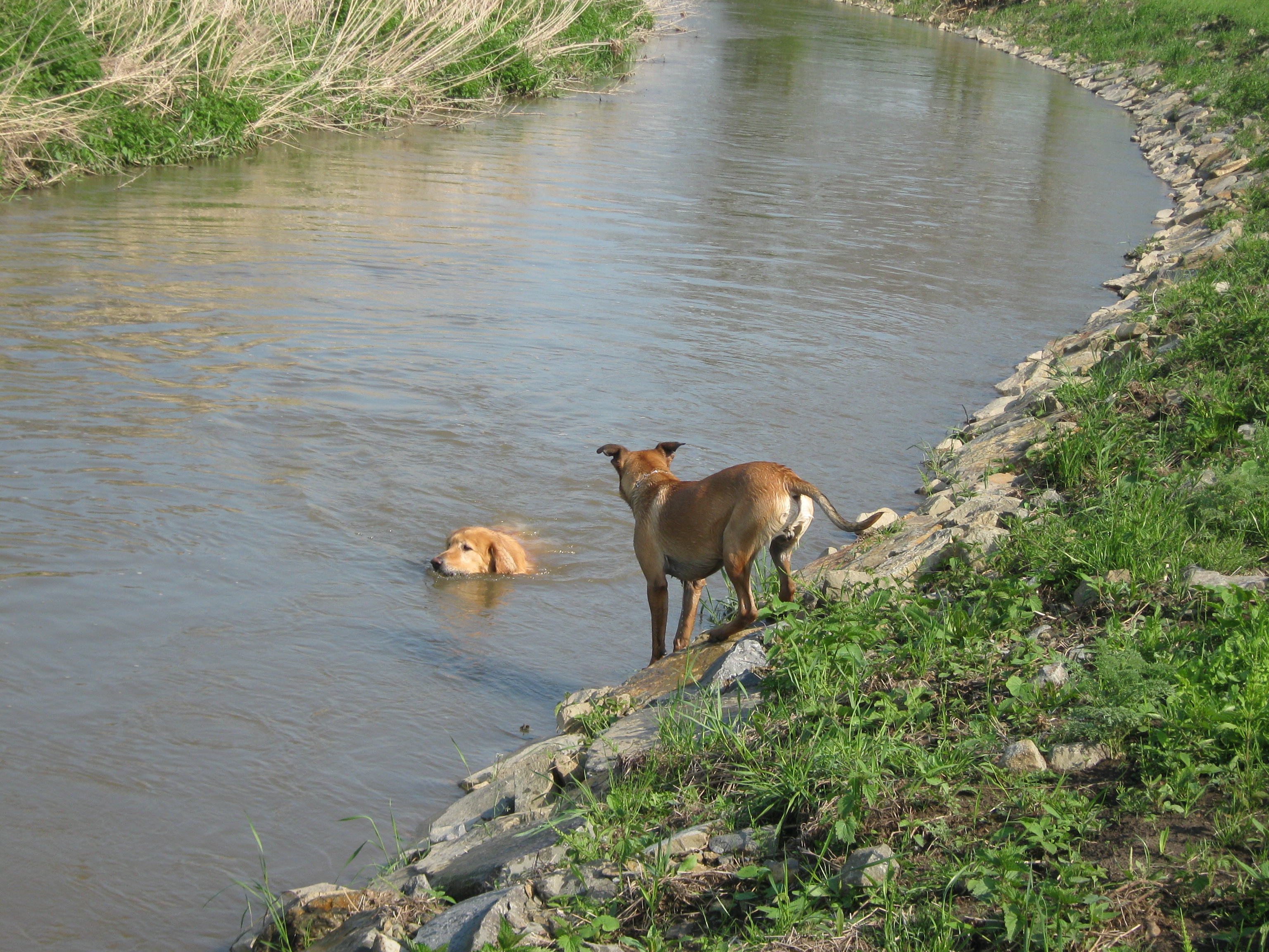 9.5.2010 021.JPG