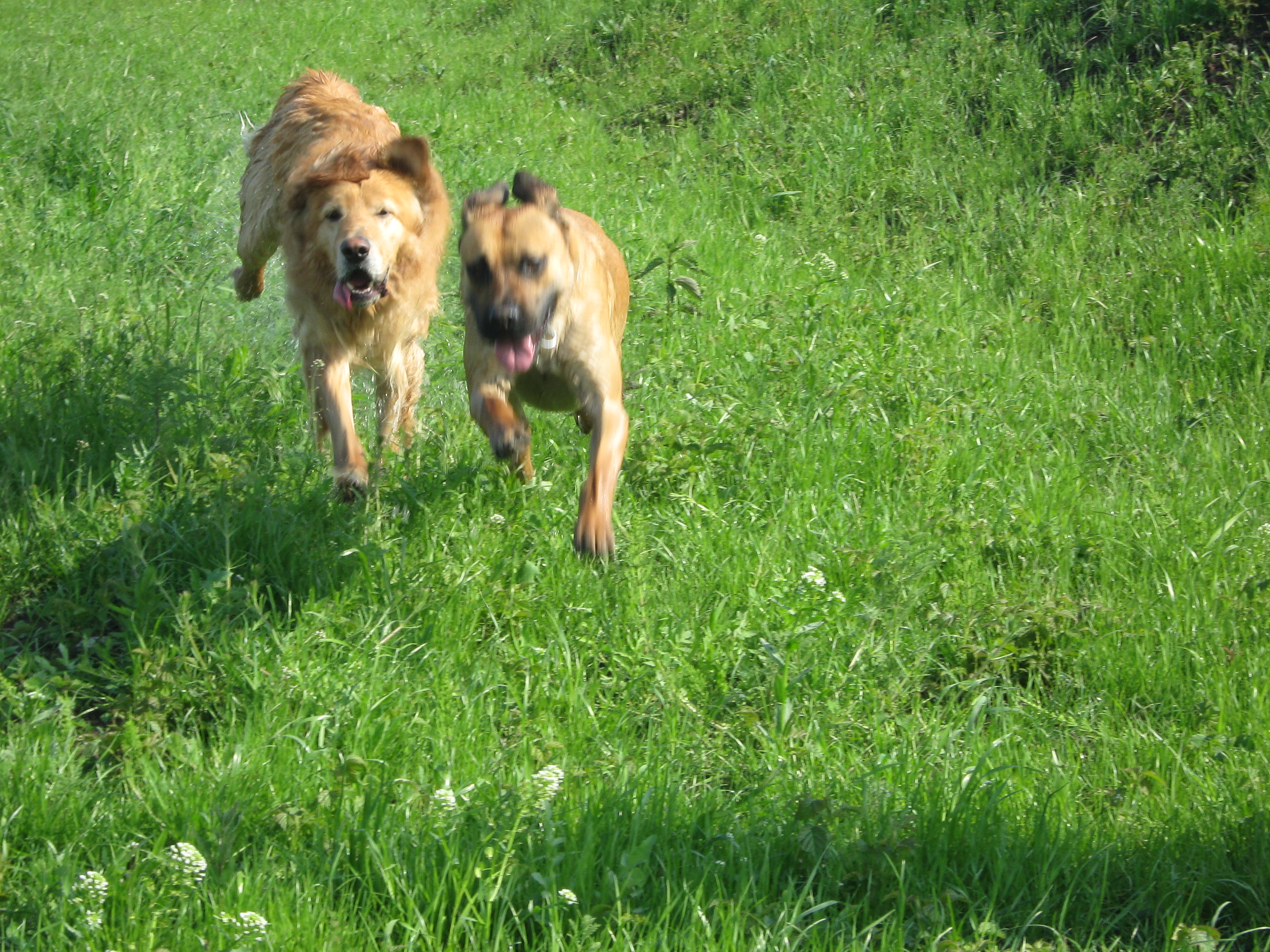 9.5.2010 023.JPG