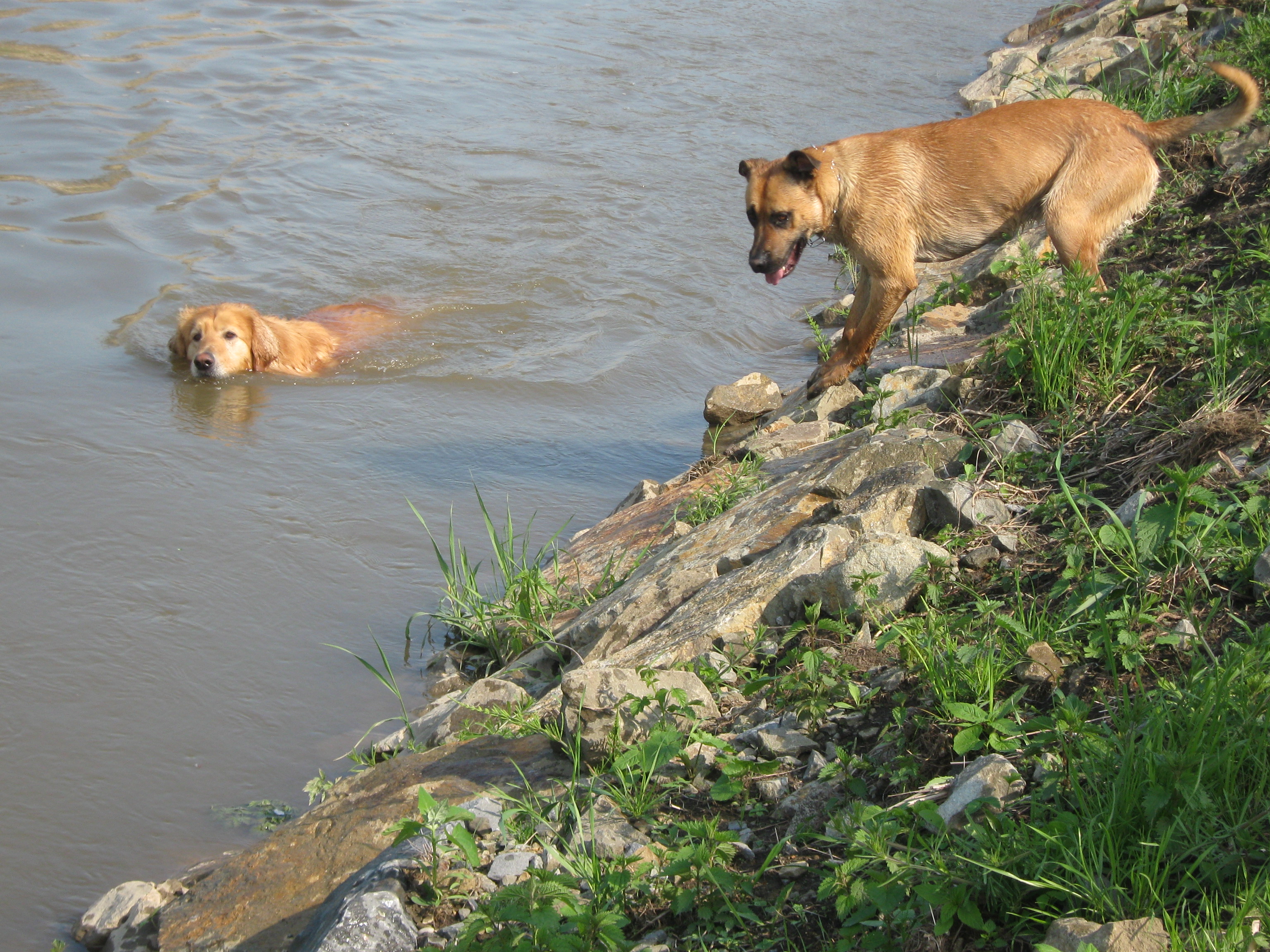 9.5.2010 026.JPG