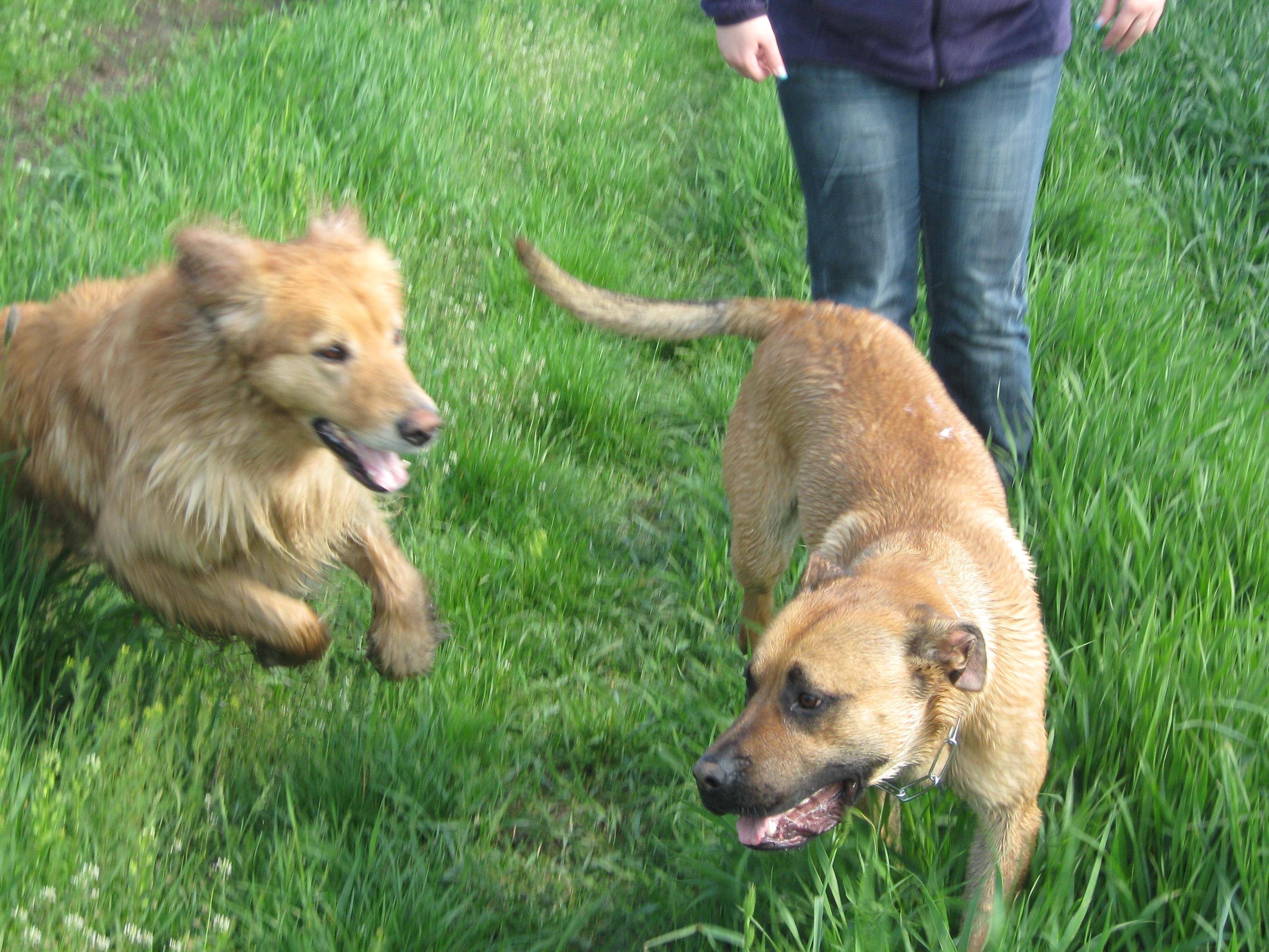 9.5.2010 050.JPG