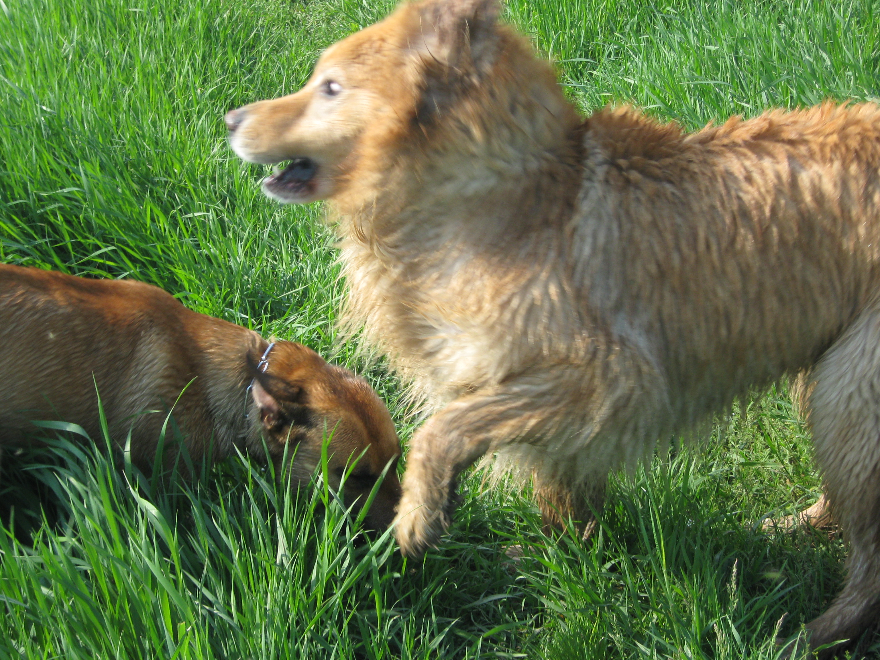 9.5.2010 051.JPG